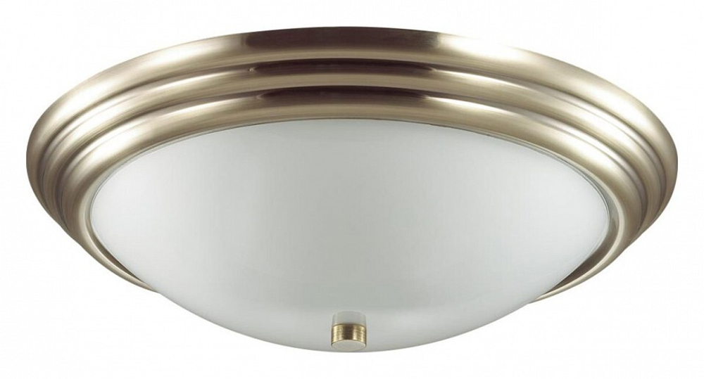 Накладной светильник Lumion Kayla 5262/3C