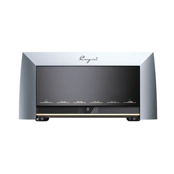 Cayin M-845D