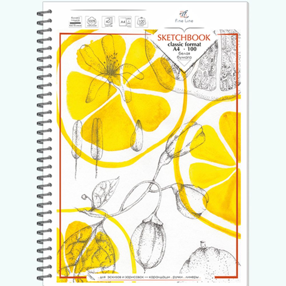 Блокнот-скетчбук SKETCHBOOK 100 А4 40 листов на металлическом гребне