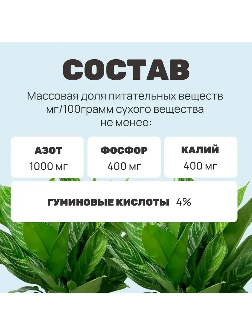 Органический грунт для спатифиллума 5 л