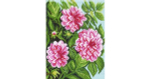 "Георгины"-1389 канва с рисунком
