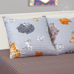 Котовасия
