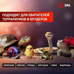 Инфракрасная лампа ЭРА CeramiHeat FITO-200W-НQ керамическая для брудера, рептилий 200 Вт Е27 | Инфракрасные лампы