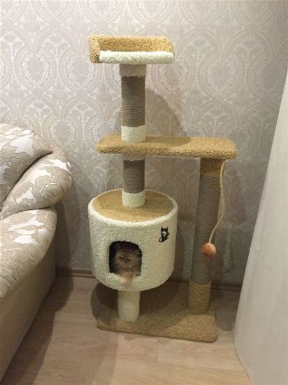 Домик для кота Д-2