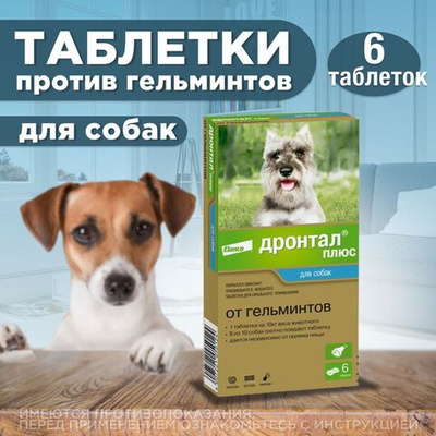 Таблетки для собак от гельминтов и лямблий со вкусом мяса Дронтал плюс, 6 таблеток в упаковке. Празиквантел/Пирантел эмбонат/Фебантел