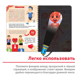 Умная книжка с фонариком «Моё тело» Свети и изучай