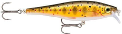 Воблер RAPALA BX Minnow 10 см, 12 г, цвет TR