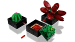 Конструктор LEGO Botanical Collection 10309 Суккуленты