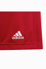 Шорты adidas Entrada 22 Junior