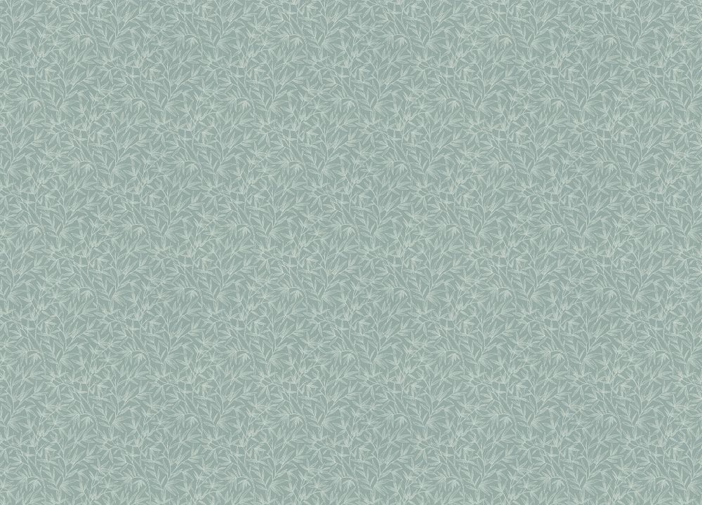 Novella