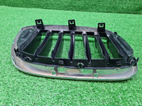 Решетка радиатора левая BMW X3 G01 X4 G02 (17-21)