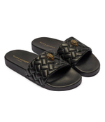 шлепанцы meena eagle Kurt Geiger - черный(7400200979)