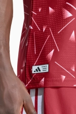 Футболка adidas Liverpool FC 226/27 Home Authentic - бордовый