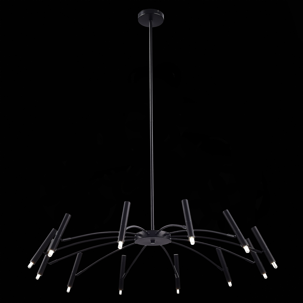 Светильник потолочный ST Luce Spidey SL1214.402.12