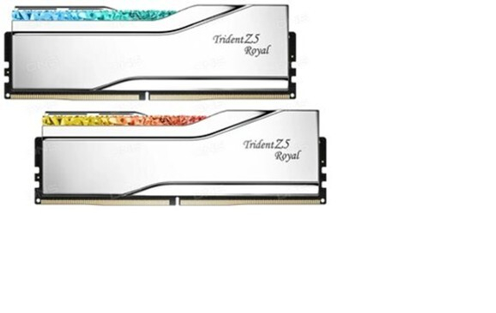 Оперативная память G.SKILL F5-6400J3239G32GX2-TR5S