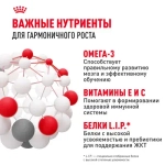 ROYAL CANIN Mini Puppy Корм сухой для щенков мелких пород в возрасте 2-10 месяцев, 800 г