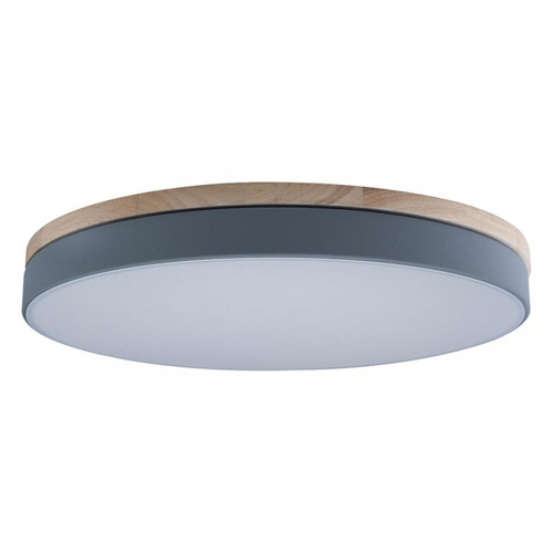 Потолочный светодиодный светильник Loft It Axel 10001/36 Grey