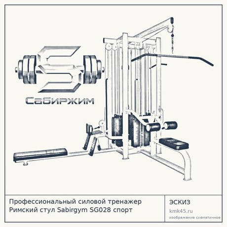 Профессиональный силовой тренажер Римский стул Sabirgym SG028 спорт