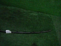 DSCN9750.JPG
