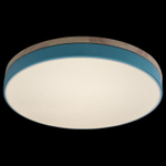 Накладной светильник Loft it Axel 10001/36 Blue