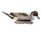 Шилохвость селезень "FA LIVE PINTAIL FLOATERS" (6 селезней)