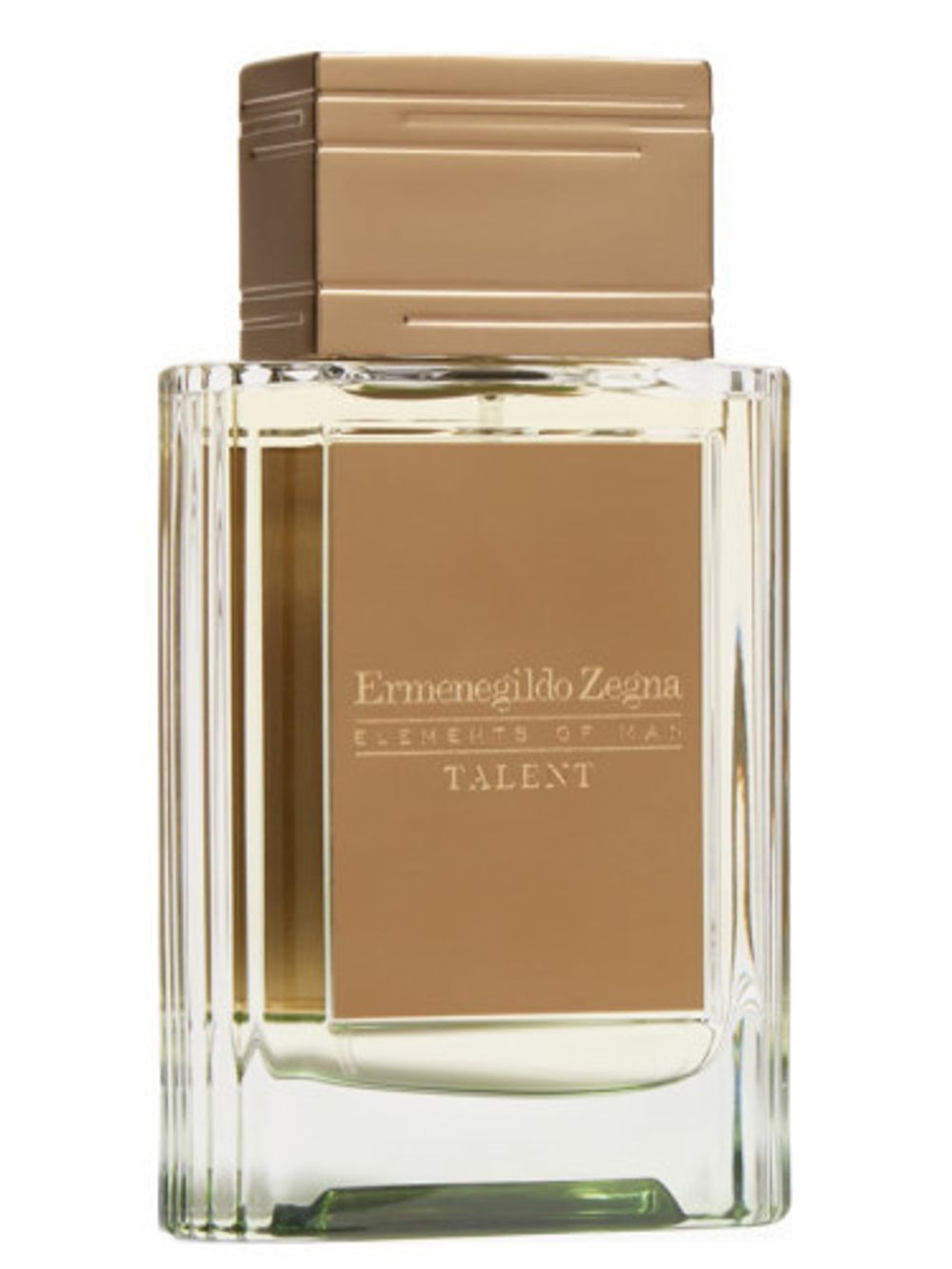 Ermenegildo Zegna Talent