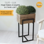 Комплект TULIPE+LILAK