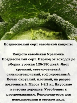 Семена Капуста набор микс 8 шт