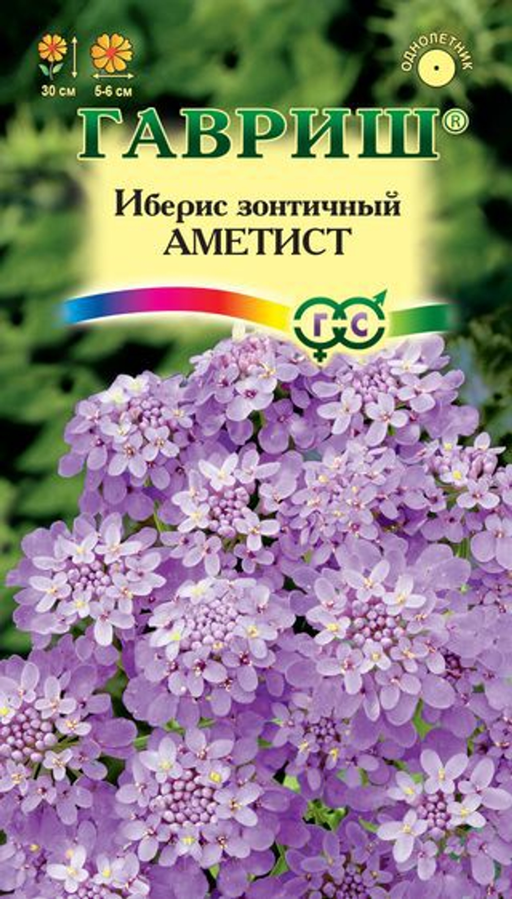 Иберис Аметист зонтичный 0,2 гр Гш
