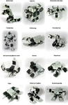 Образовательный конструктор Robotis BIOLOID Comprehensive Kit