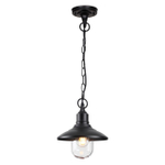 4965/1 NATURE ODL22 713 черный/стекло Ландшафтный подвес E27 1*60W IP44 CAMPA