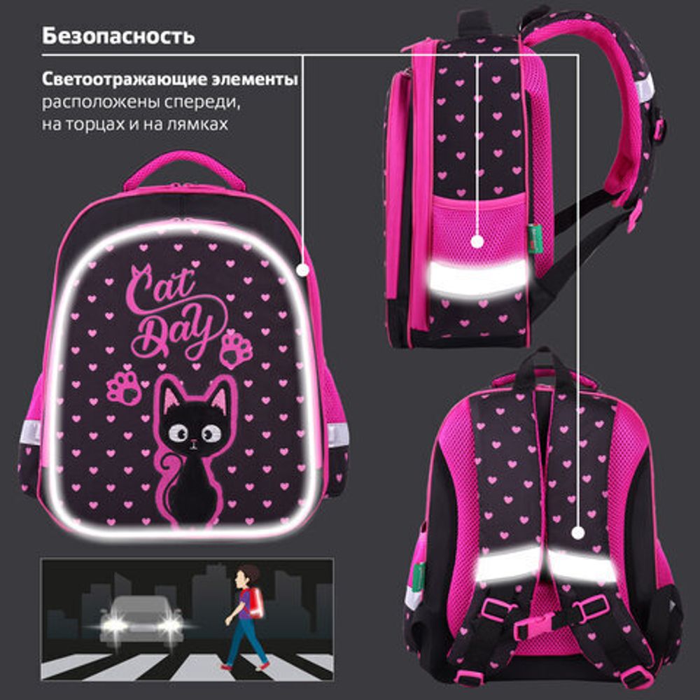 Ранец BRAUBERG KIDS STANDARD, 2 отделения, "Amazed cat", 36х28х14 см, 271386