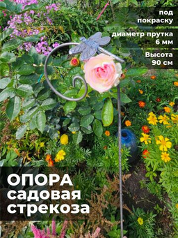 Товары для дома и сада