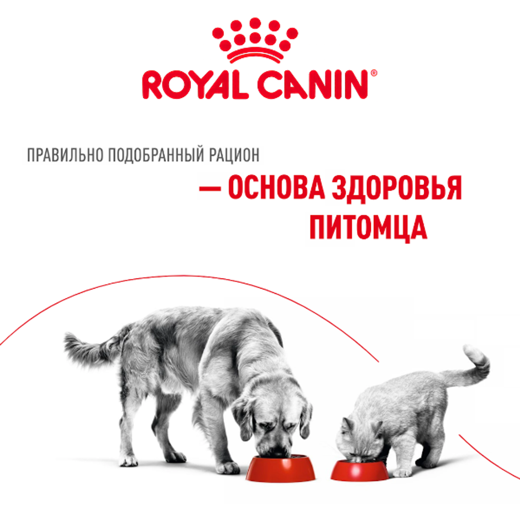 Royal Canin — система питания для каждого питомца Royal Canin — система питания для каждого питомца