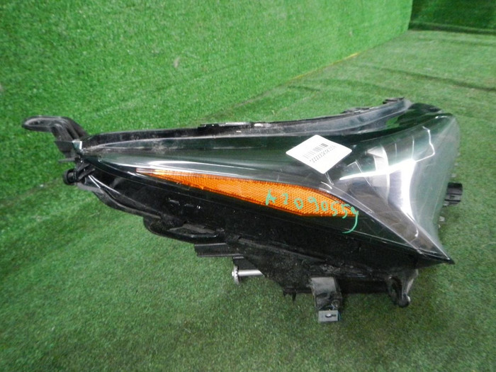 DSCN2446.JPG