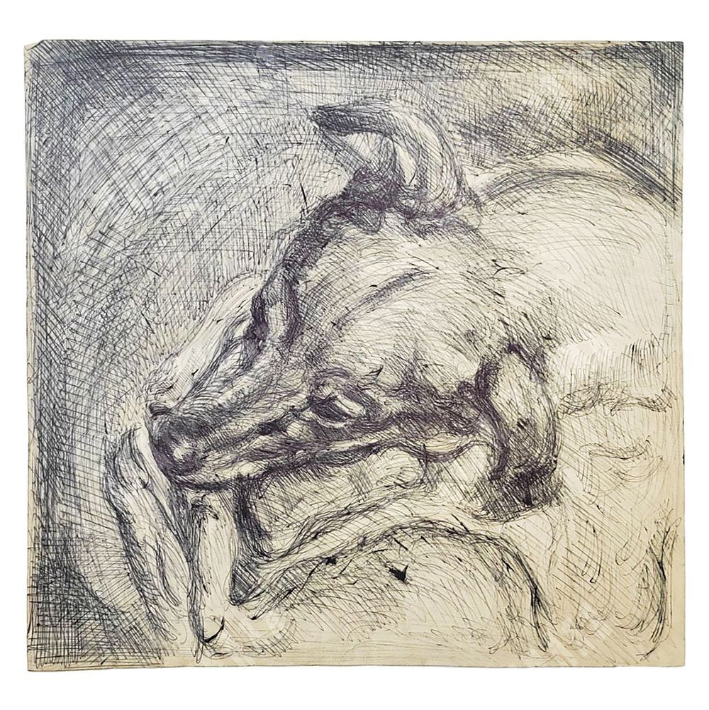 Динес Ю. С. Дружок. Рисунок. Бумага, перо. 1940-е