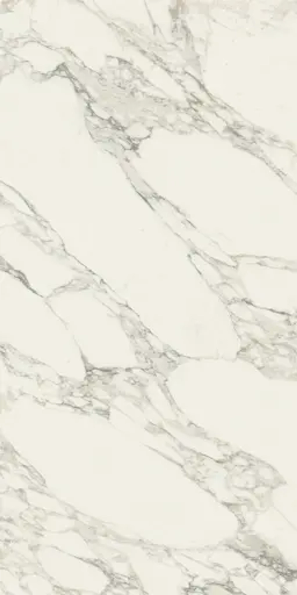 CHARME DELUXE ARABESCATO WHITE (ШАРМ ДЕЛЮКС АРАБЕСКАТО УАЙТ) 1600*800 керамогранит, натуральный