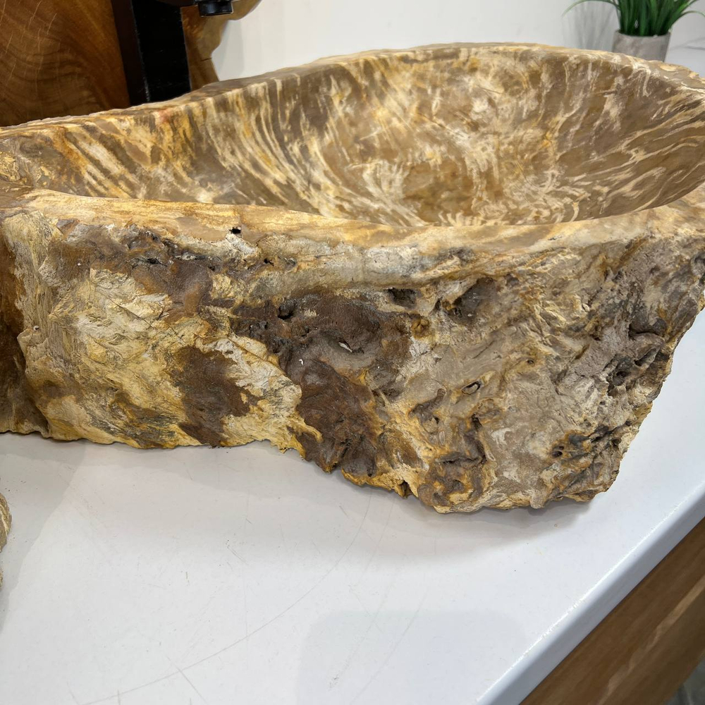 Раковина из окаменелого дерева ПАРА! OD-66877 60x47x15 из натурального камня