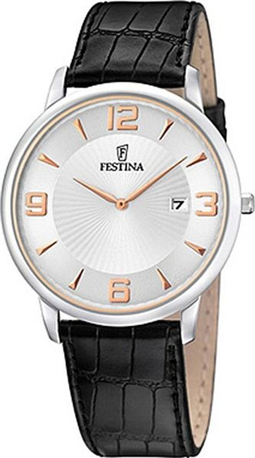 Мужские наручные часы Festina F6806/3