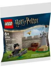 Конструктор Harry Potter 30706 Урок квиддича