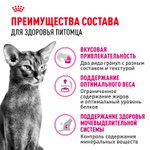 Royal Canin Savour Exigent Сэйвор Экзиджент Корм сухой для взрослых кошек привередливых ко вкусу 200г