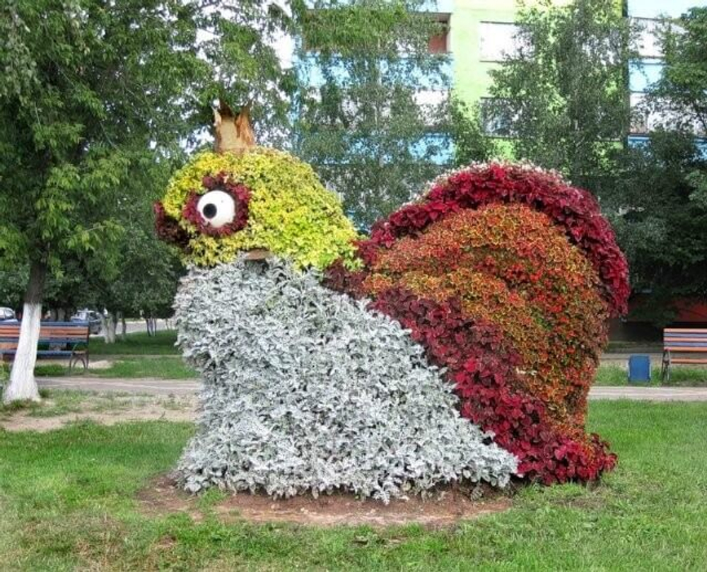 Топиарная фигура Золотая рыбка