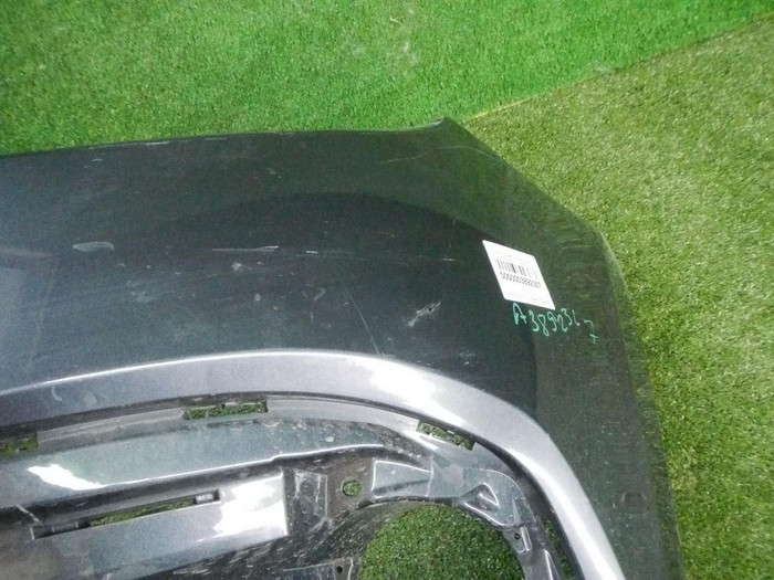 DSCN8620.jpg