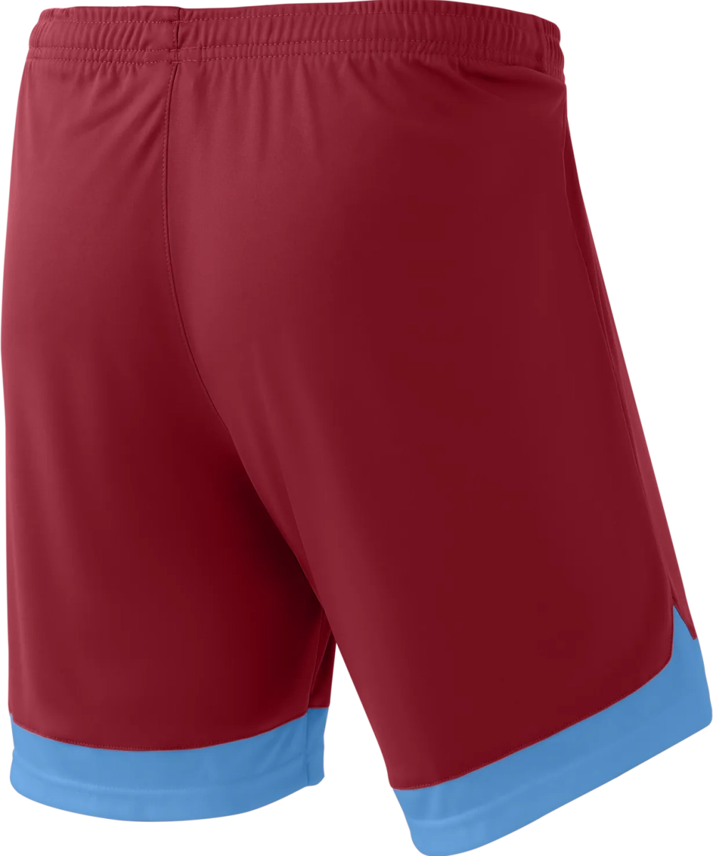 Шорты игровые DIVISION PerFormDRY Union Shorts, гранатовый/голубой/белый