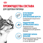 Royal Canin Indoor Индор Корм сухой сбалансированный для взрослых кошек в возрасте от 1 года до 7 лет живущих в помещении 2кг