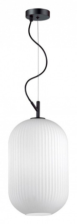 Подвесной светильник Odeon Light Roofi 4752/1