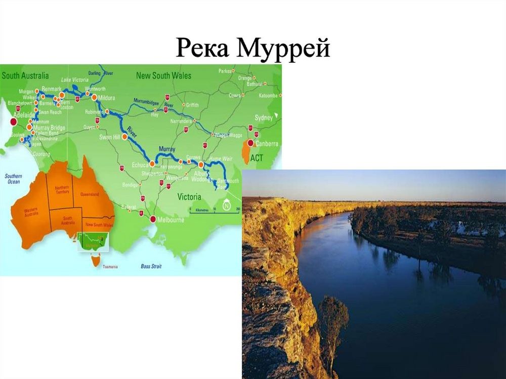 Карта Австралия на английском языке (политическая) 1,00*1,15 — купить по ФГОС | Учебный стандарт Карта Австралия на английском языке (политическая) 1,00*1,15 — купить по ФГОС | Учебный стандарт