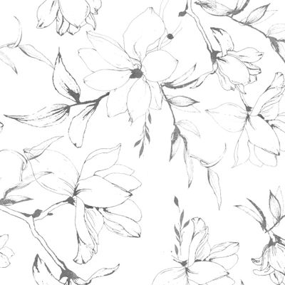 Контур цветущей магнолии ultimatum gray