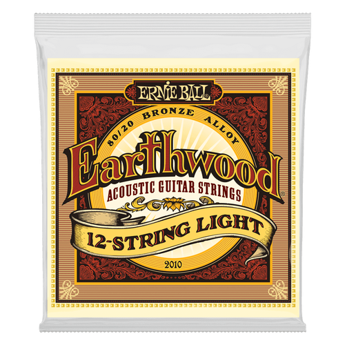 ERNIE BALL 2010