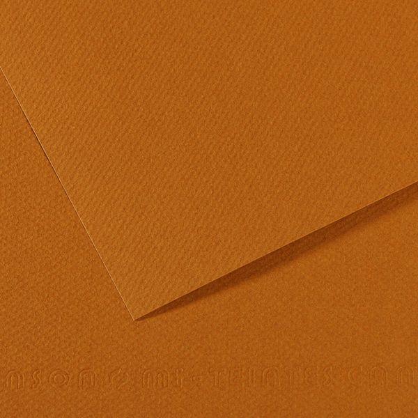 Бумага для пастели Mi-Teintes 160 г/м², 50х65 см, 10 л, №502 Коричневый Гавана, Canson, C31032S109